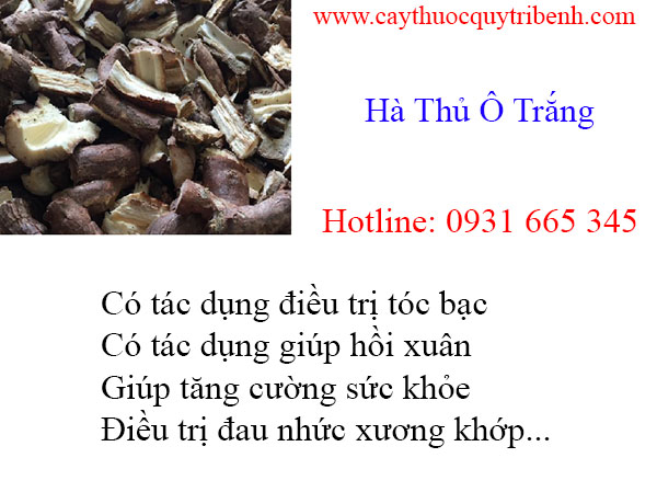 mua-ha-thu-o-trang-tai-tp-hcm-chat-luong-nhat