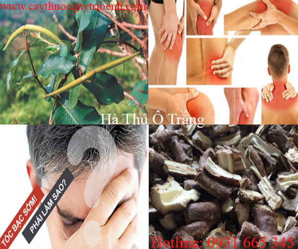 mua-ha-thu-o-trang-tai-tp-hcm-uy-tin-nhat