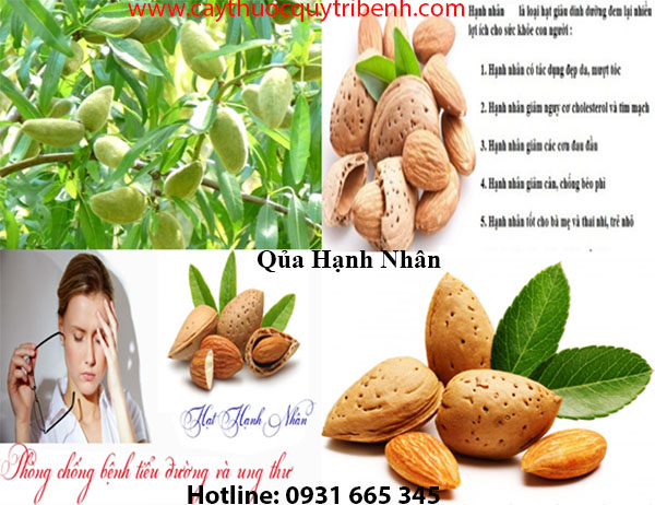 quả hạnh nhân