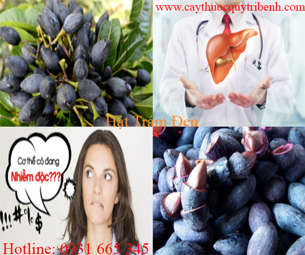 hạt trám đen