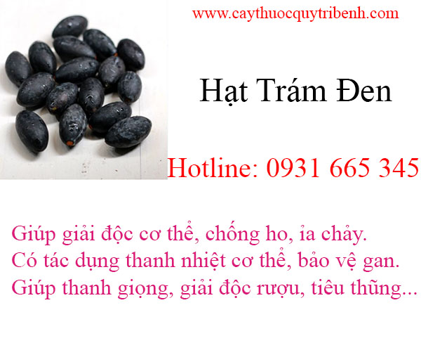 hạt trám đen