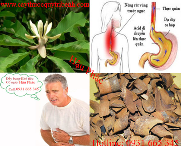 mua-hau-phac-chat-luong-tai-tp-hcm