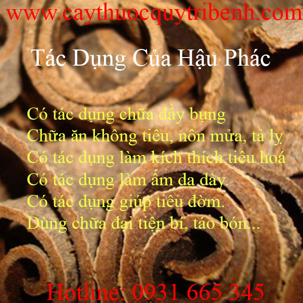 mua-hau-phac-uy-tin-tai-tp-hcm