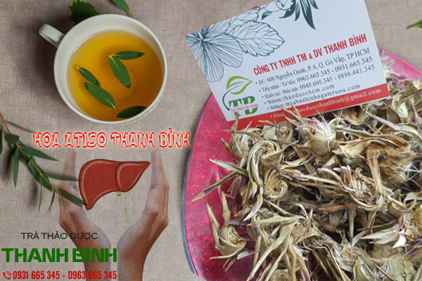 hoa atiso thảo dược thanh bình