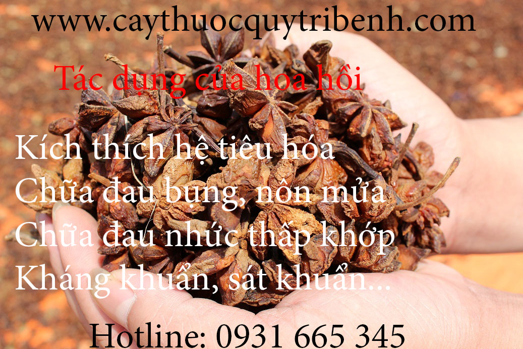mua-hoa-hoi-o-dau-tai-tp-hcm-uy-tin-nhat