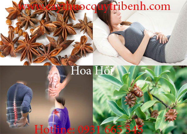 mua-hoa-hoi-o-dau-tai-tp-hcm-uy-tin