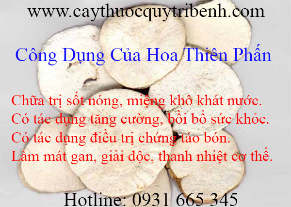mua-hoa-thien-phan-tai-tp-hcm-uy-tin-chat-luong