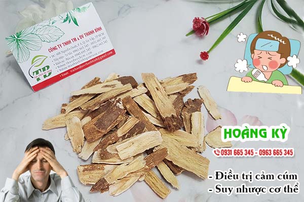Hoàng Kỳ Thảo dược Thanh Bình