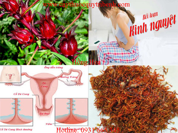 mua-hong-hoa-o-dau-tai-tp-hcm-uy-tin