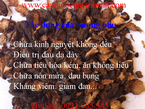 mua-huong-phu-o-dau-tai-tp-hcm-uy-tin-nhat