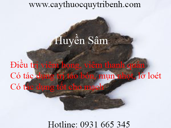 huyền sâm
