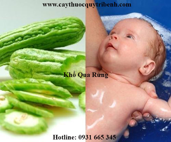 khổ qua rừng