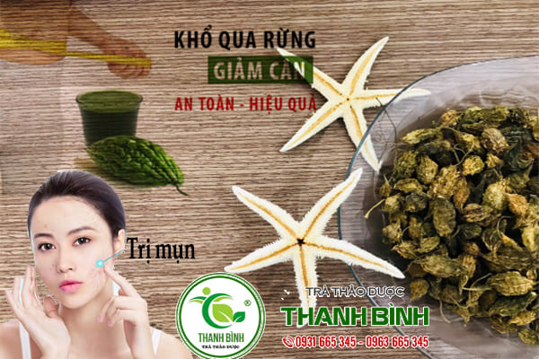 khổ qua rừng thảo dược thanh bình