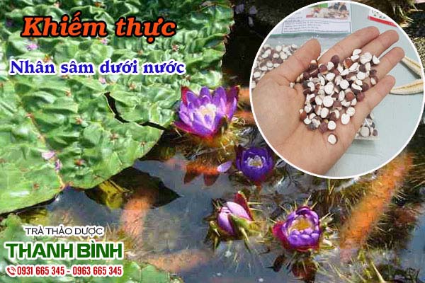 Khiếm thực