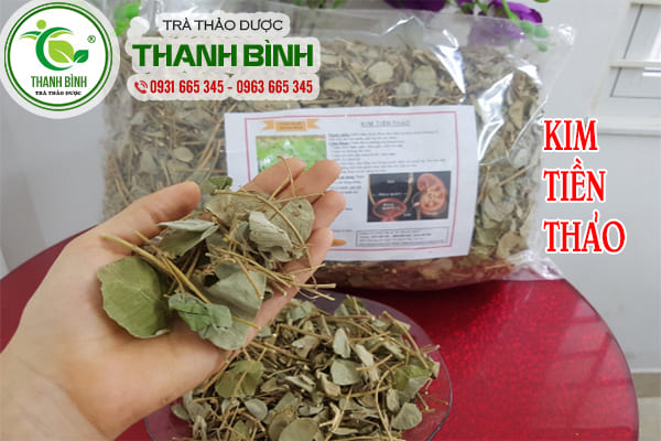 kim tiền thảo thanh bình