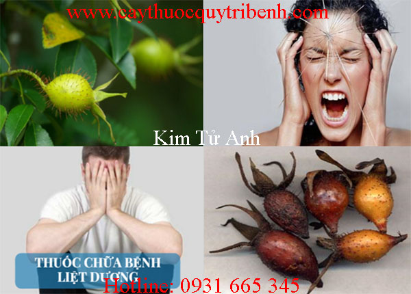 mua-kim-tu-anh-o-dau-tai-tp-hcm