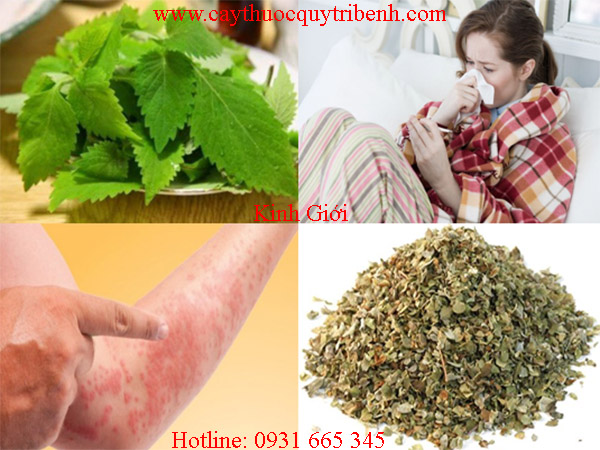 mua-kinh-gioi-o-dau-tai-tp-hcm