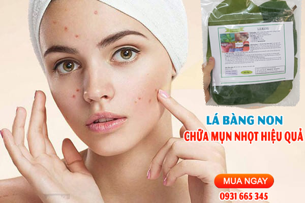 lá bàng non Thảo Dược Thanh Bình