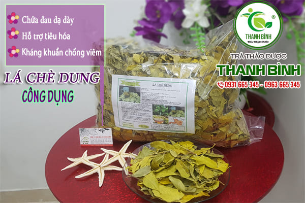 lá chè dung thanh bình