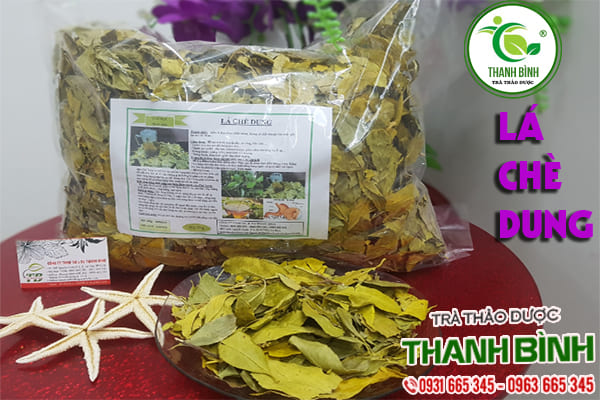 lá chè dung thanh bình