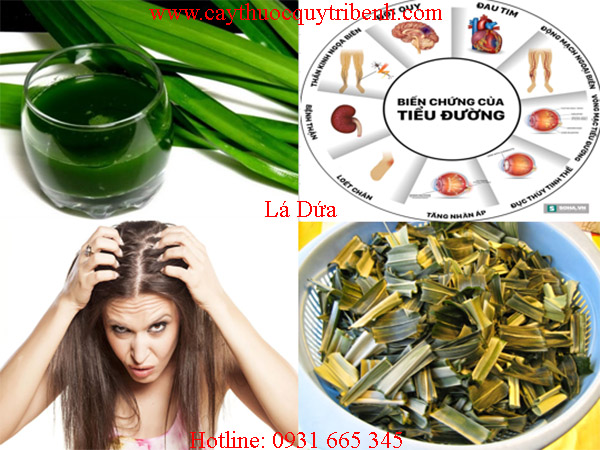 mua-la-dua-o-dau-tai-tp-hcm