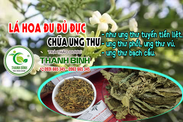 lá hoa đu đủ đực thanh bình