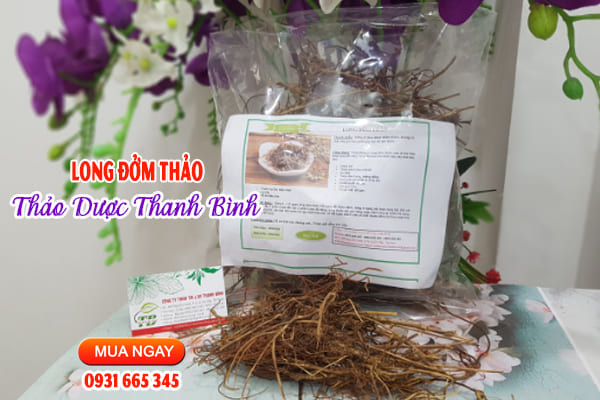 long đởm thảo Thảo Dược Thanh Bình