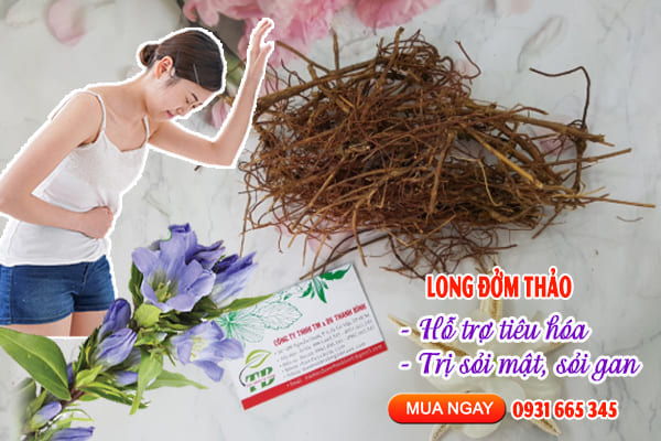 long đởm thảo Thảo Dược Thanh Bình
