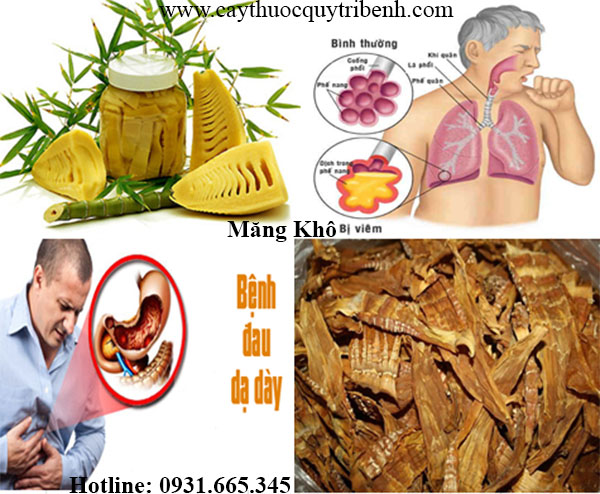 măng khô