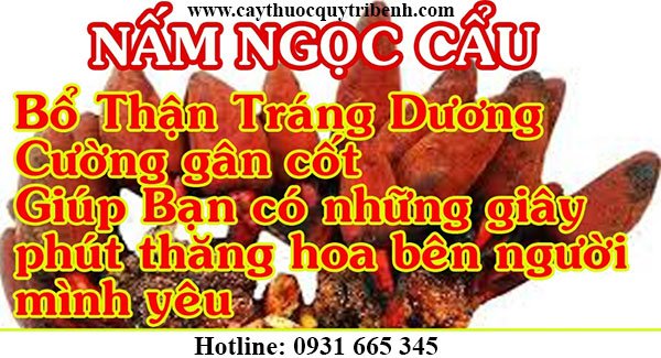 nấm ngọc cẩu