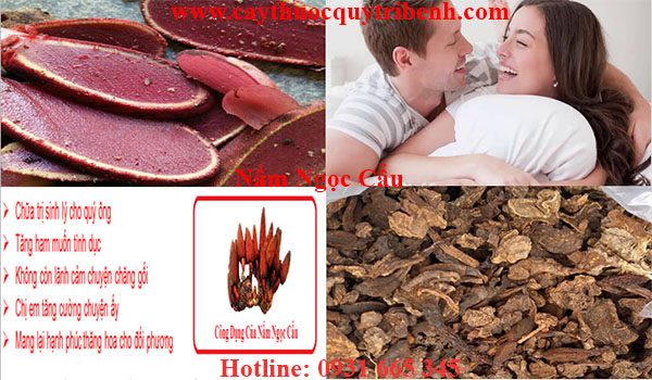 nấm ngọc cẩu