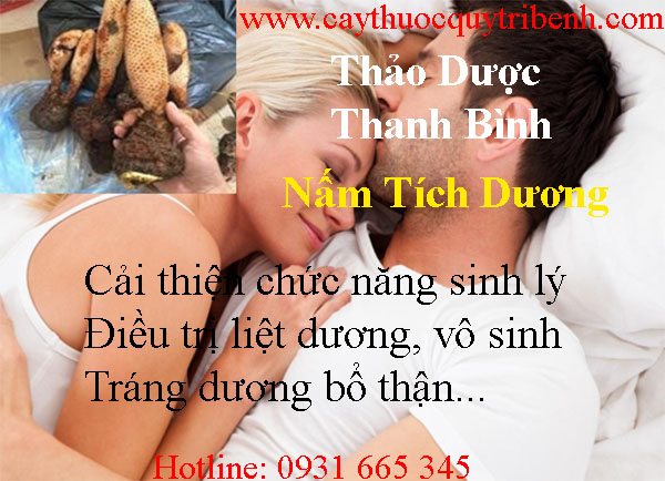 mua-nam-tich-duong-o-dau-tai-tp-hcm-uy-tin-nhat