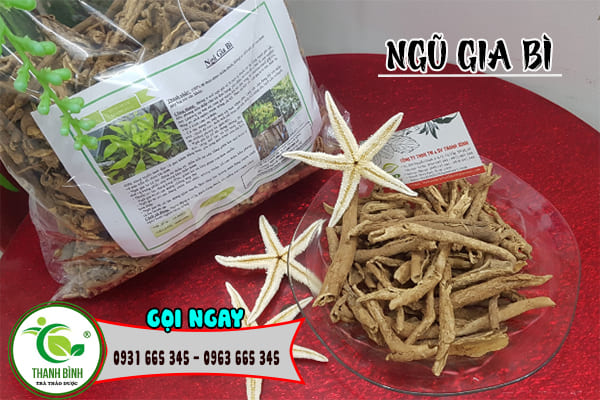 ngũ gia bì thanh bình