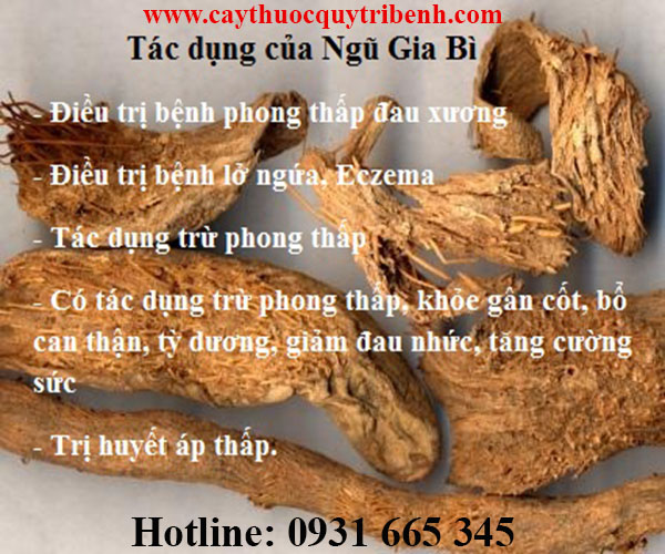 ngũ gia bì
