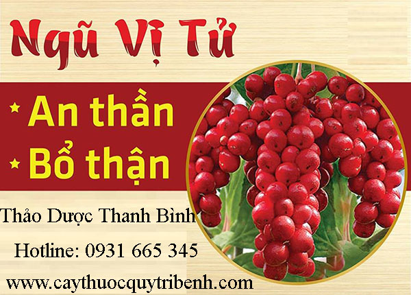 mua-ngu-vi-tu-o-dau-tai-tp-hcm-uy-tin-nhat