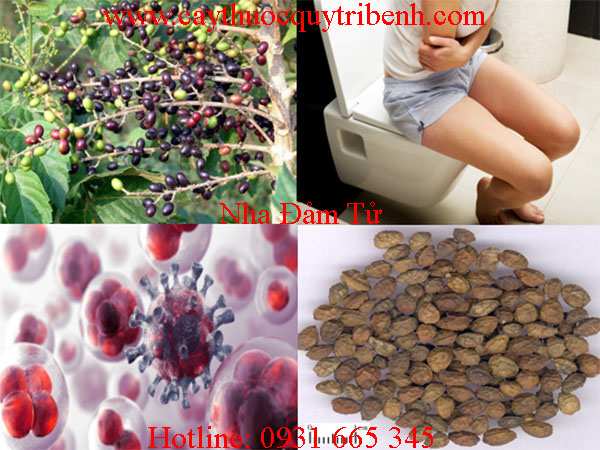 mua-nha-dam-tu-o-dau-tai-tp-hcm