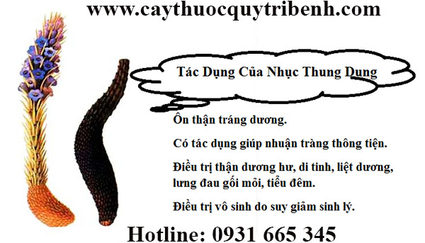 nhục thung dung