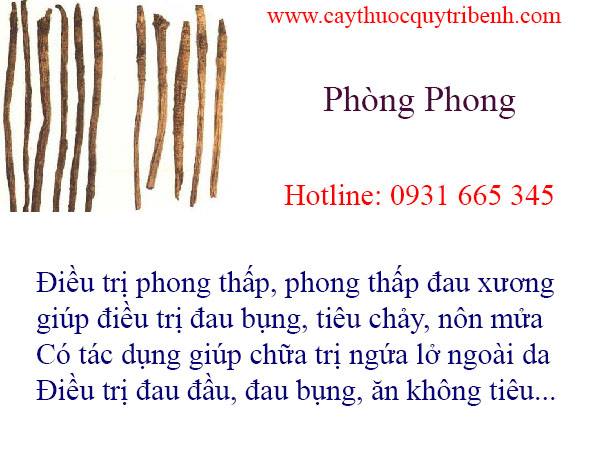 phòng phong