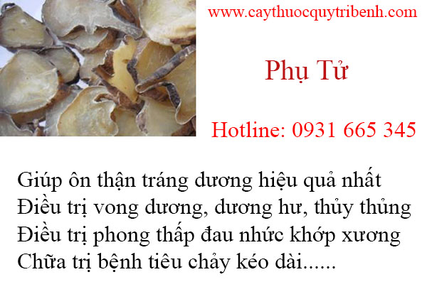 mua-phu-tu-uy-tin-chat-luong-nhat-tai-tp-hcm