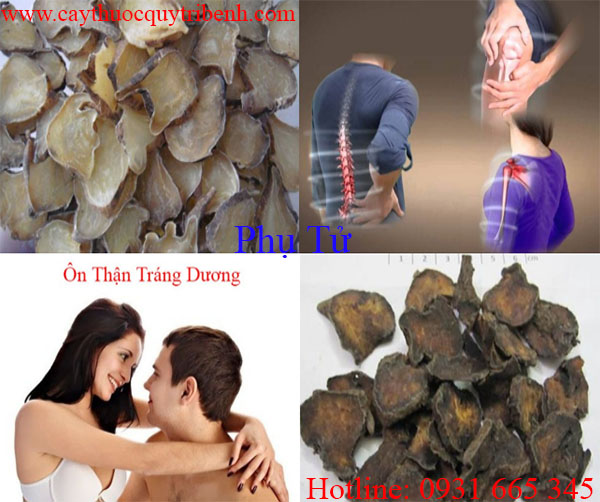 mua-phu-tu-uy-tin-nhat-tai-tp-hcm