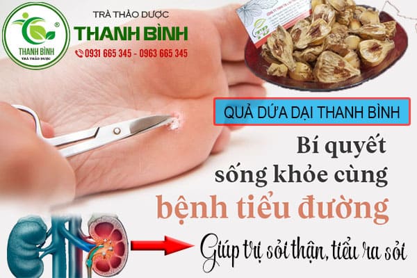 qua dua dai thao duoc thanh binh