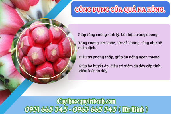 quả na rừng
