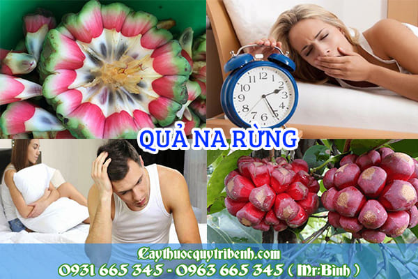 quả na rừng