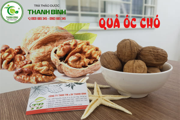 quả óc chó thanh bình