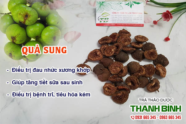 Quả sung Thảo Dược Thanh Bình