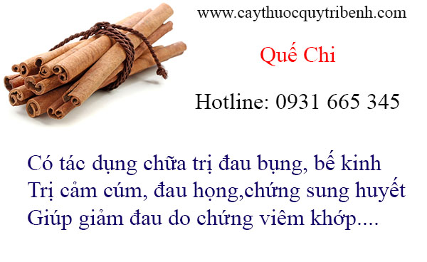 mua-que-chi-tai-tp-hcm-uy-tin-chat-luong-nhat