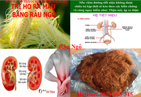 râu ngô