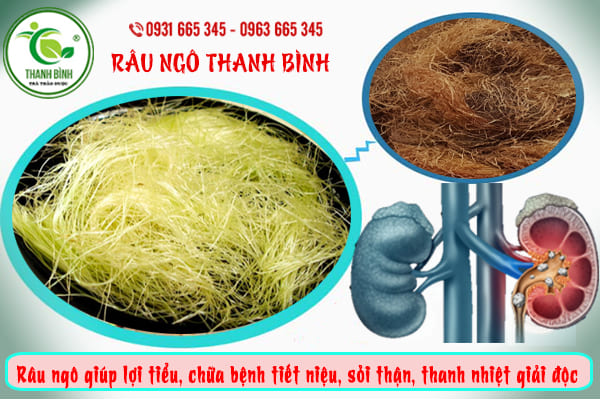 râu ngô thảo dược thanh bình