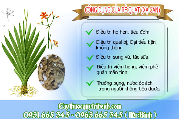 rẻ quạt (xạ can)