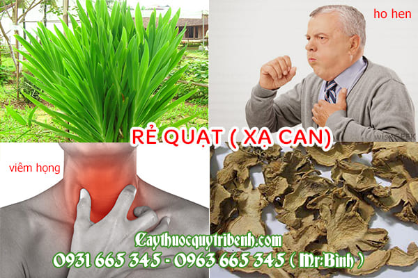 rẻ quạt (xạ can)